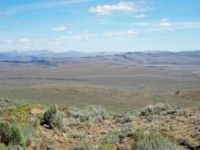 What is a large, flat area of land at a high elevation called?