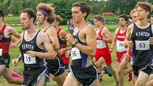 Are/were you in cross-country? OR Can you run long distances?