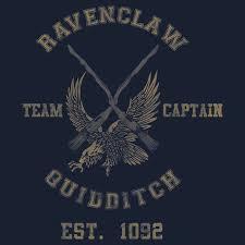 Who was the head of the Ravenclaw Quidditch team in Harry's fourth year?