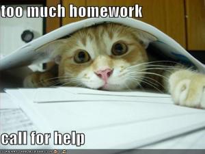 Lots homework