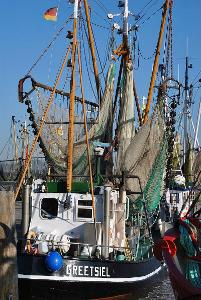 What is a common characteristic of a trawler fishing boat?
