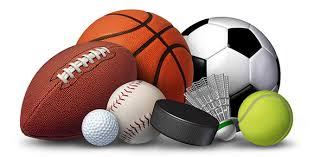 What is your favorite sport ?