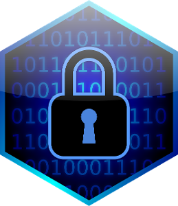 What is the purpose of encryption in network security?