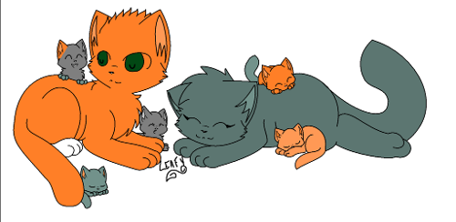 RP.do u want a mate and kits