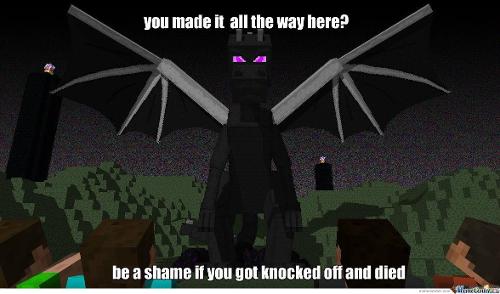 It's time to slay the Enderdragon! What do you bring?