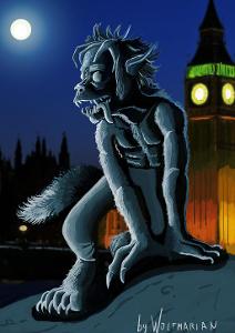 During what phase of the moon do werewolves transform?