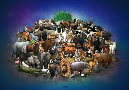 Which ones your favorite animal?