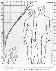 What is your body size and height?