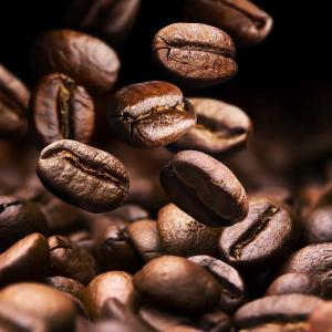 What type of coffee beans are known for their high caffeine content?