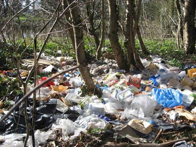 You get given litter for your tea, how do you react?