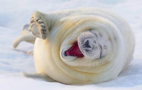 did u yawn?