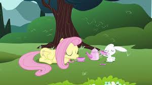 Fluttershy : Would you care for a Tea Party?