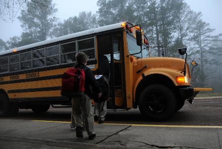 What should you do when approaching a stopped school bus or transit bus?