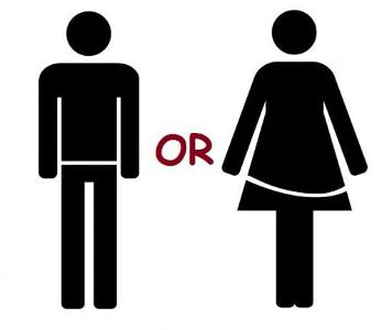 2.Are you are male or female?