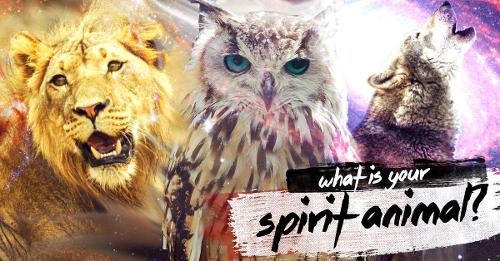 whats ur spirit animal?