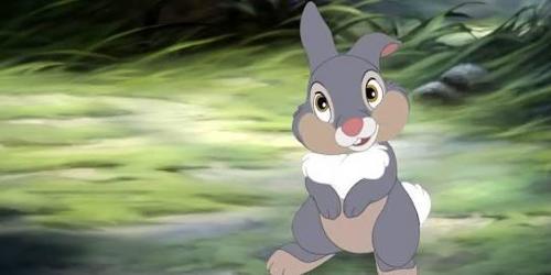 What movie has Thumper on it?