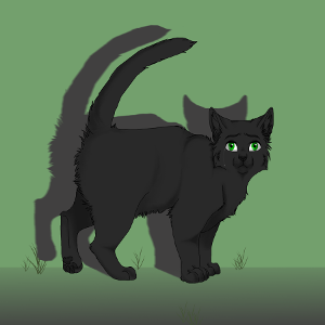 Who was Hollyleaf's mentor?