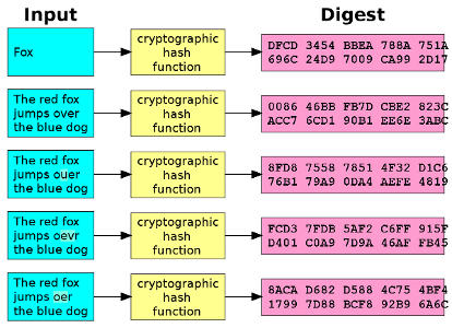 Which of the following algorithms is widely used for hashing passwords?