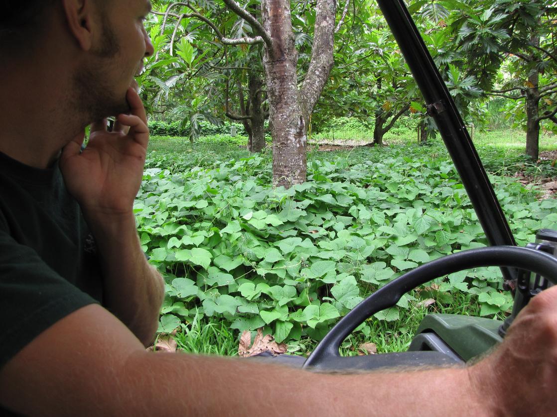 Which of the following is an eco-friendly driving habit?