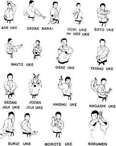 Which Karate move translates to 'lower block'?