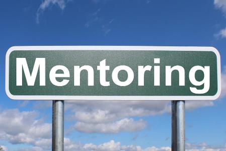 When faced with a difficult task, do you prefer to tackle it on your own or find a mentor to guide you?