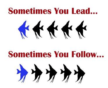 Are you more of a leader or follower?
