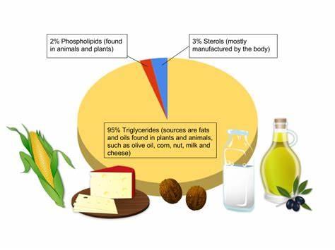 Which type of fat should be avoided for a healthy diet?