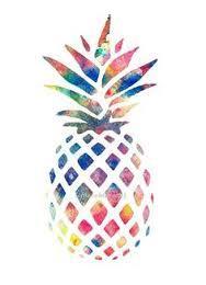 Pineapples are: