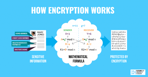 What is the purpose of data encryption?