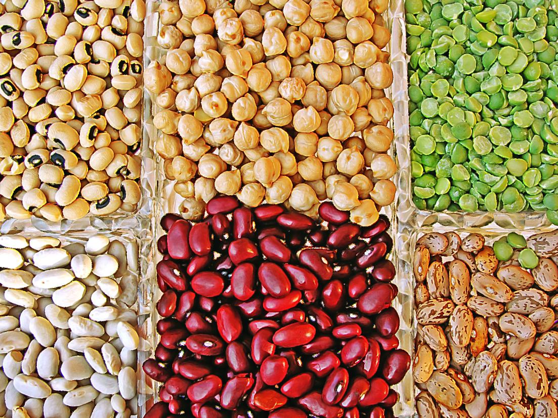 Which of these is not a type of legume?