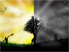 Dark or light?