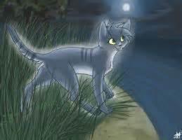 Question five; What was Bluestar's warrior name?