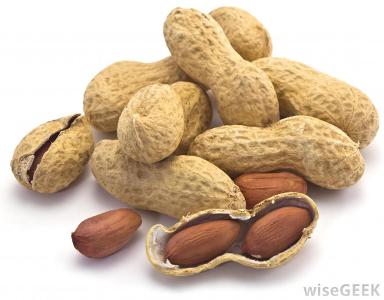 Do you have an allergy to Peanuts?