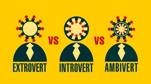 Introvert, Extrovert, or something else?
