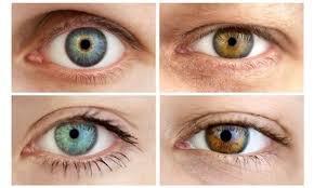 What Eye Color Do You Find More Appealing For Your Lover?