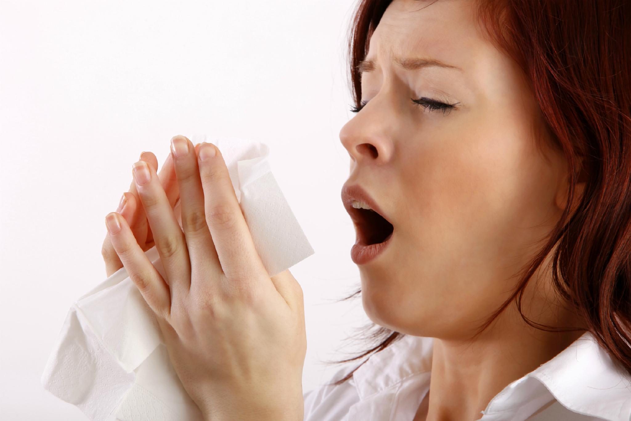 you keep sneezing while everything or everybody is quite