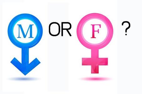 Am I male or female?