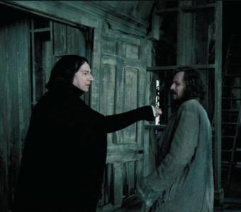 Which book contains the fight between Severus Snape and Sirius Black?