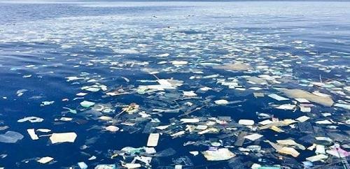 Is the Pacific Garbage patch as big as Fiji? The great Pacific Garbage patch is an area of dense plastic waste in-between America and Hawaii.  Is it: