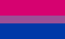 What does bisexual mean?