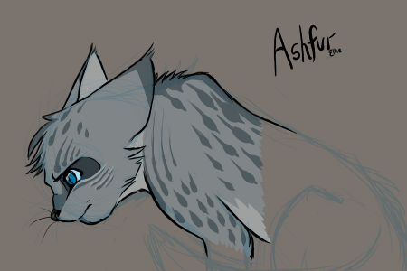 What things are true about Ashfur?