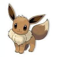 "Are you ok ?!" The pokemon said "ugh.." You said looking around "your awake great !" The pokemon said "where am I ? And who are you ?" You say "I'm Eevee and right now your on the beach" Eevee said