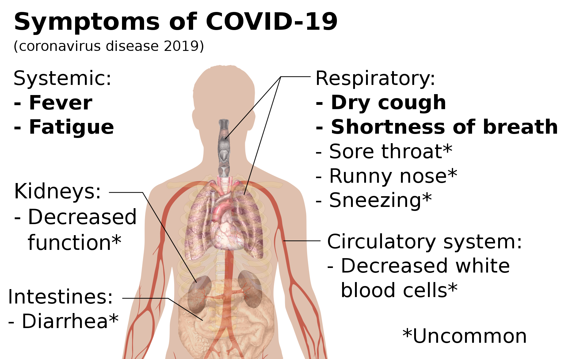 What is the most common type of heart disease?