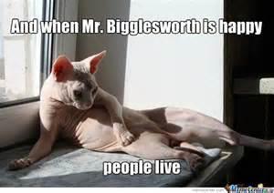 do you know the "Mr. Bigglesworth gets Upset" thing?