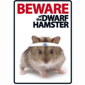 If you could be any hamster what would it be?