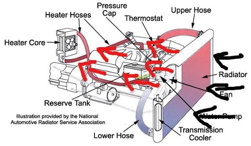 Which fluid is essential for the cooling system of a vehicle?