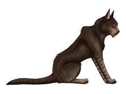 WindClan is driven from their territory. What do you do?