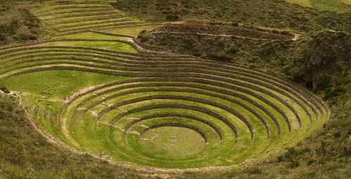 What was the primary agricultural crop of the Inca Empire?