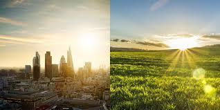Would you rather live in town or in the countryside?
