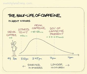 What is the average half-life of caffeine in the human body?